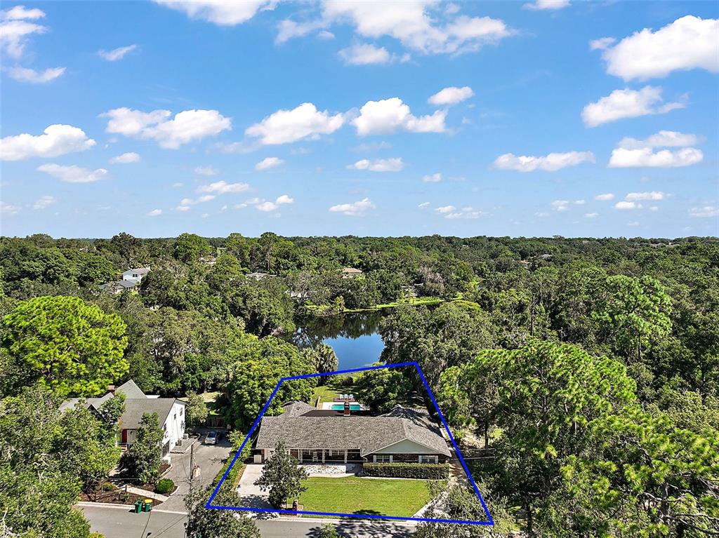 705 West Summit Court Mount Dora, FL 32757 - Photo 36 of 37 a view of a lake with houses