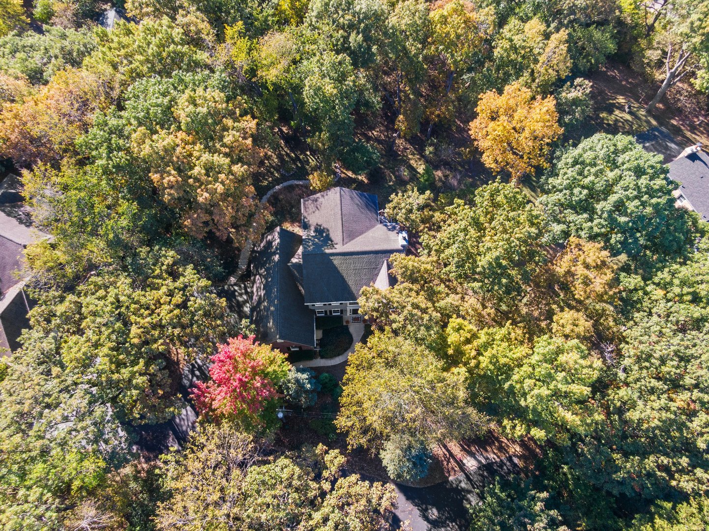 415 Roslyn Road East Dundee, IL 60118 - Photo 37 of 48 Gallery Image 37