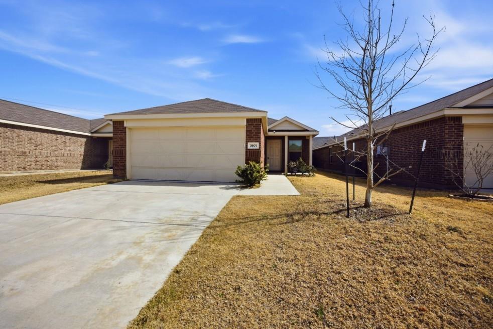 3801 Harper Street Oak Point, TX 75068 - Photo 1 of 20