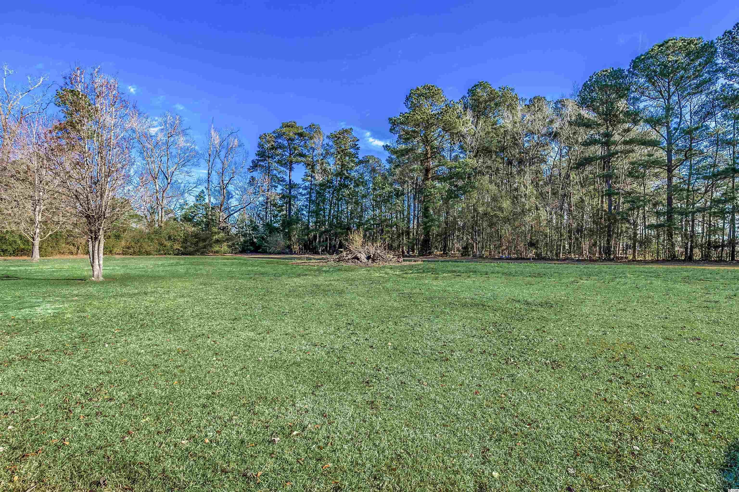 4545 Enoch Road Aynor, SC 29511 - Photo 32 of 37 Gallery Image 32