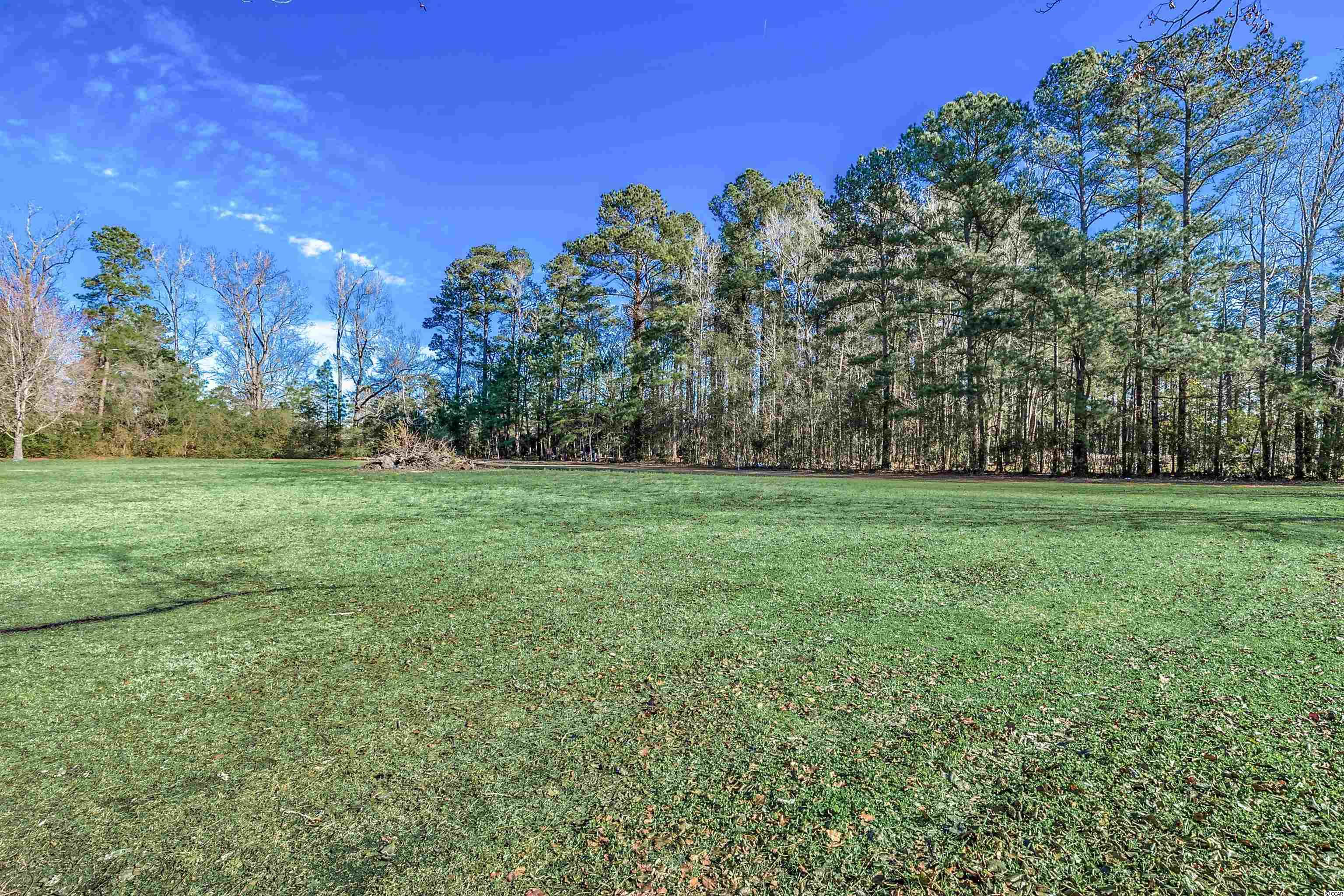 4545 Enoch Road Aynor, SC 29511 - Photo 36 of 37 Gallery Image 36