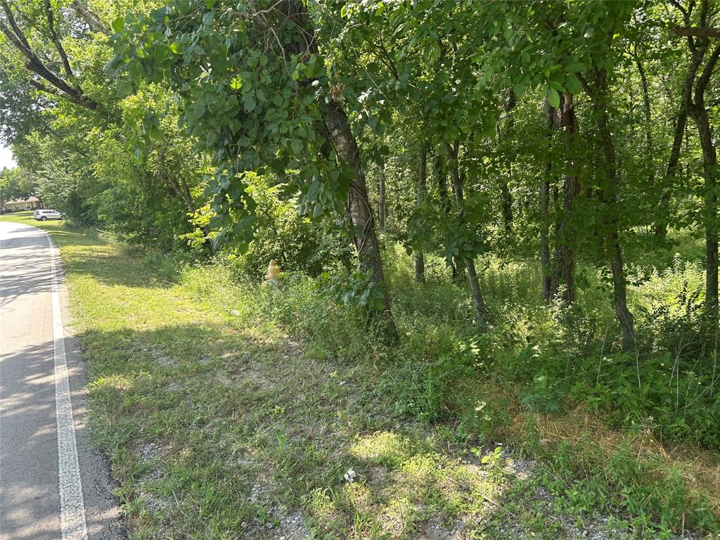4401 Dexham Road Rowlett, TX 75088 - Photo 5 of 6 a view of yard with green space