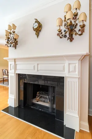 a living room with a fireplace furniture and a potted plant