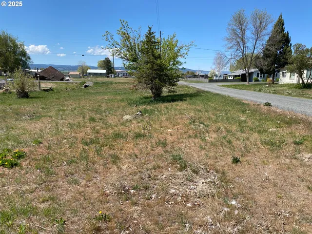 a view of a garden with an trees
