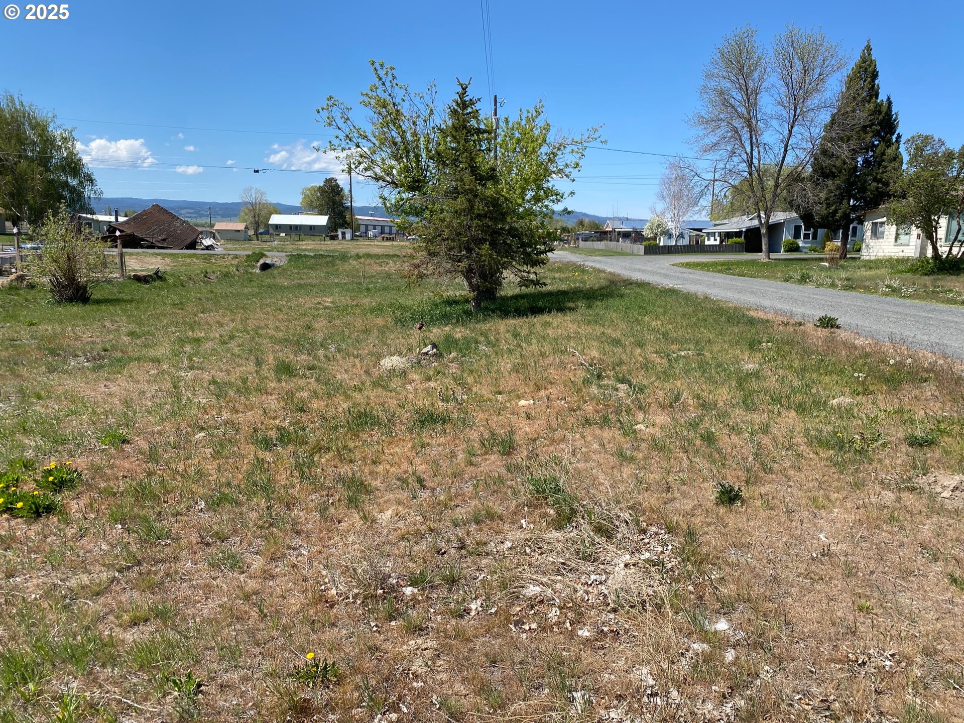 465 D Street North Powder, OR 97867 - Photo 2 of 6 a view of a garden with an trees