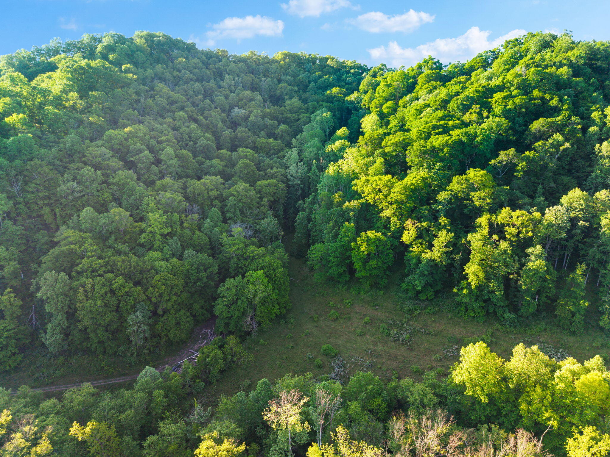 139 Burcham Fork Road Jackson, KY 41339 - Photo 16 of 23 20-web-or-mls-DJI_20260514075932_0057_D