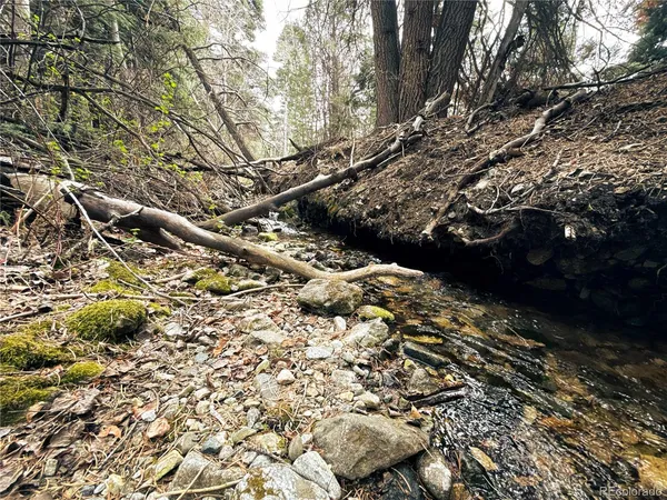 $90,000 | 189 Cedar Ridge Road, Mosca, CO 81146