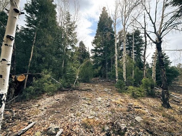 $90,000 | 189 Cedar Ridge Road, Mosca, CO 81146