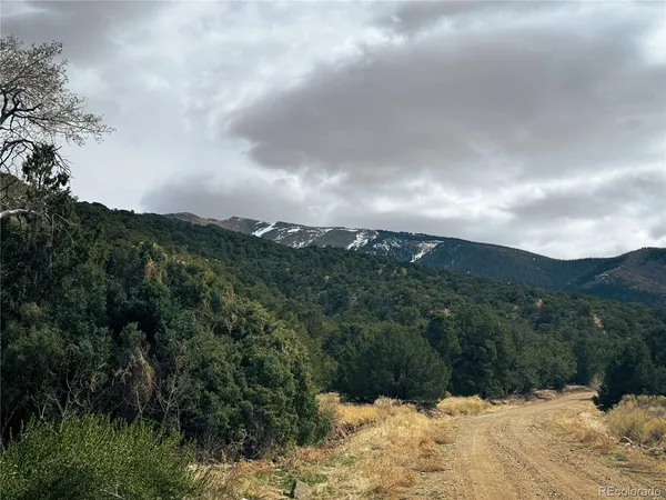 $90,000 | 189 Cedar Ridge Road, Mosca, CO 81146