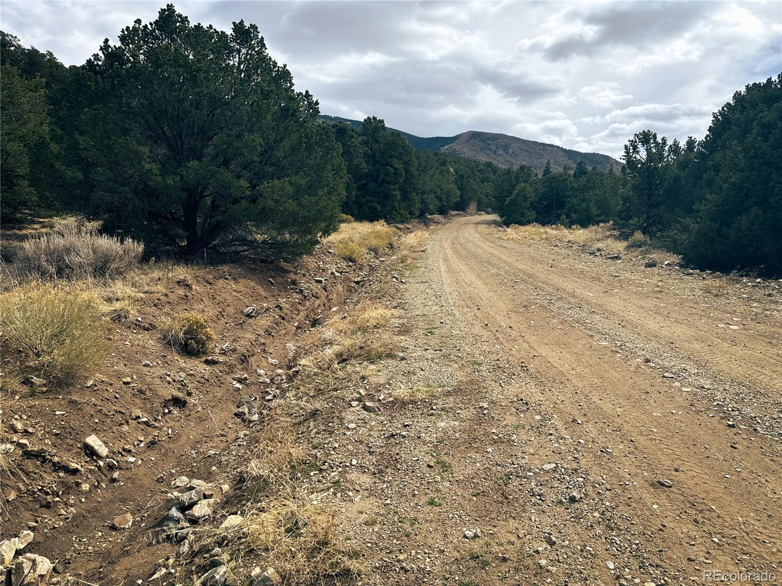 189 Cedar Ridge Road Mosca, CO 81146 - Photo 13 of 47 a view of a covered with trees in the background