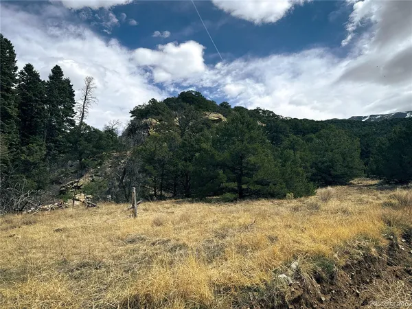 $90,000 | 189 Cedar Ridge Road, Mosca, CO 81146