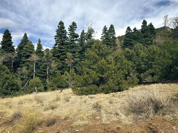 $90,000 | 189 Cedar Ridge Road, Mosca, CO 81146