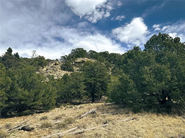 $90,000 | 189 Cedar Ridge Road, Mosca, CO 81146