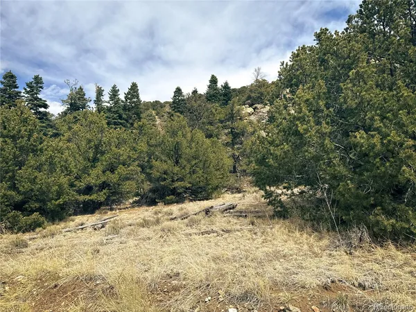 $90,000 | 189 Cedar Ridge Road, Mosca, CO 81146
