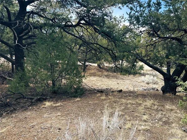$90,000 | 189 Cedar Ridge Road, Mosca, CO 81146