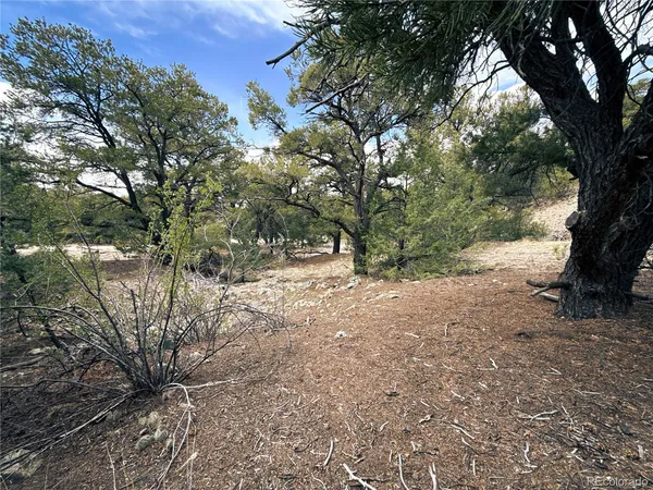 $90,000 | 189 Cedar Ridge Road, Mosca, CO 81146