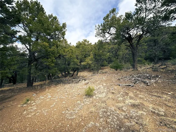 $90,000 | 189 Cedar Ridge Road, Mosca, CO 81146