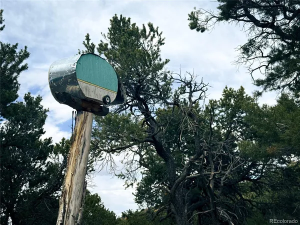 $90,000 | 189 Cedar Ridge Road, Mosca, CO 81146