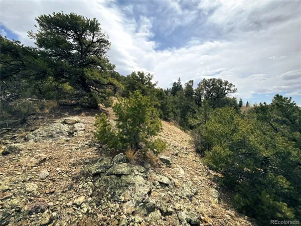 $90,000 | 189 Cedar Ridge Road, Mosca, CO 81146