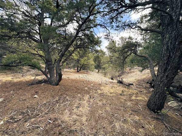 $90,000 | 189 Cedar Ridge Road, Mosca, CO 81146