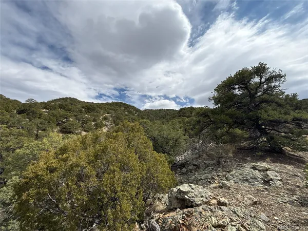 $90,000 | 189 Cedar Ridge Road, Mosca, CO 81146
