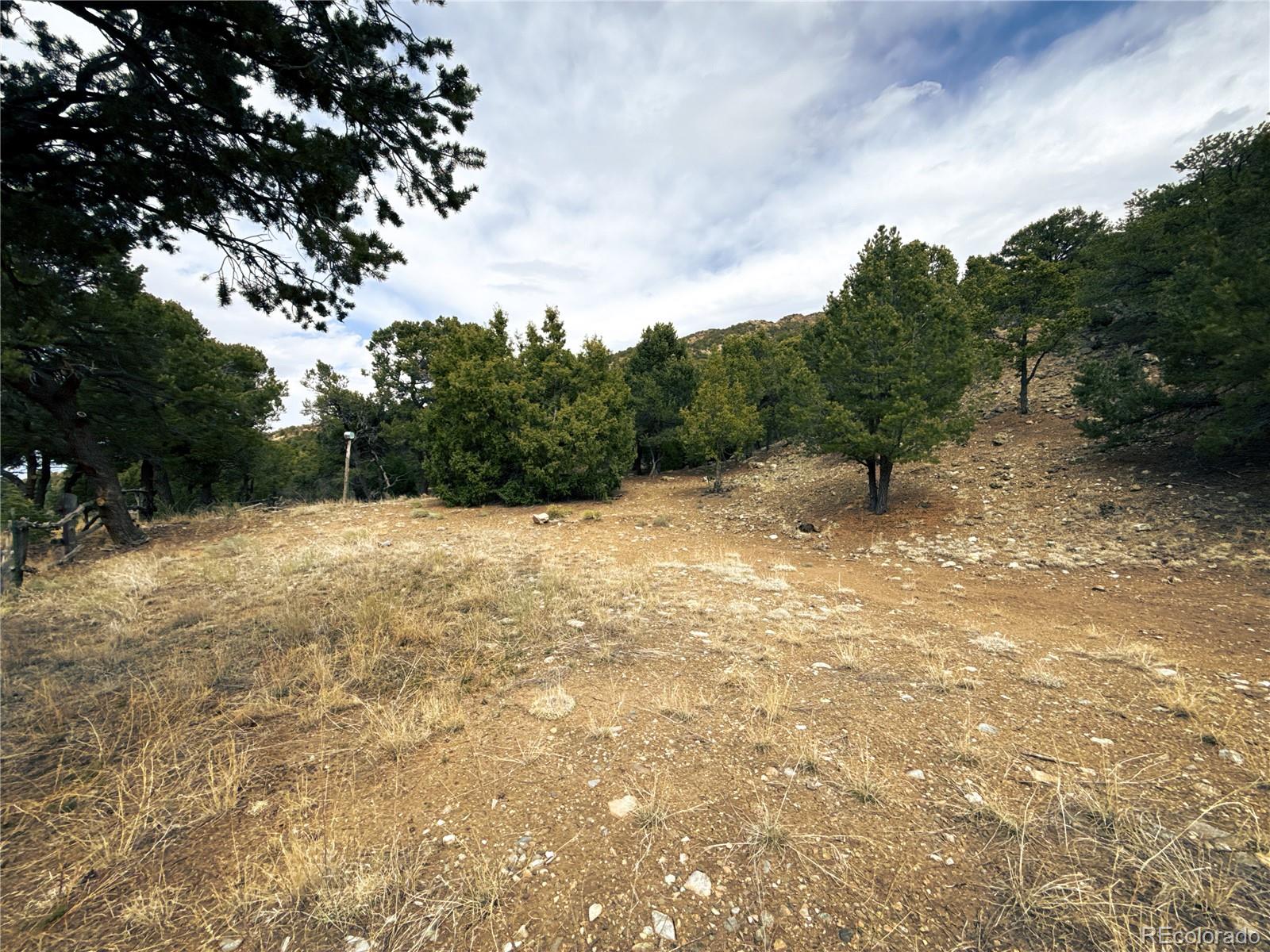 189 Cedar Ridge Road Mosca, CO 81146 - Photo 38 of 47 a view of a yard with a tree