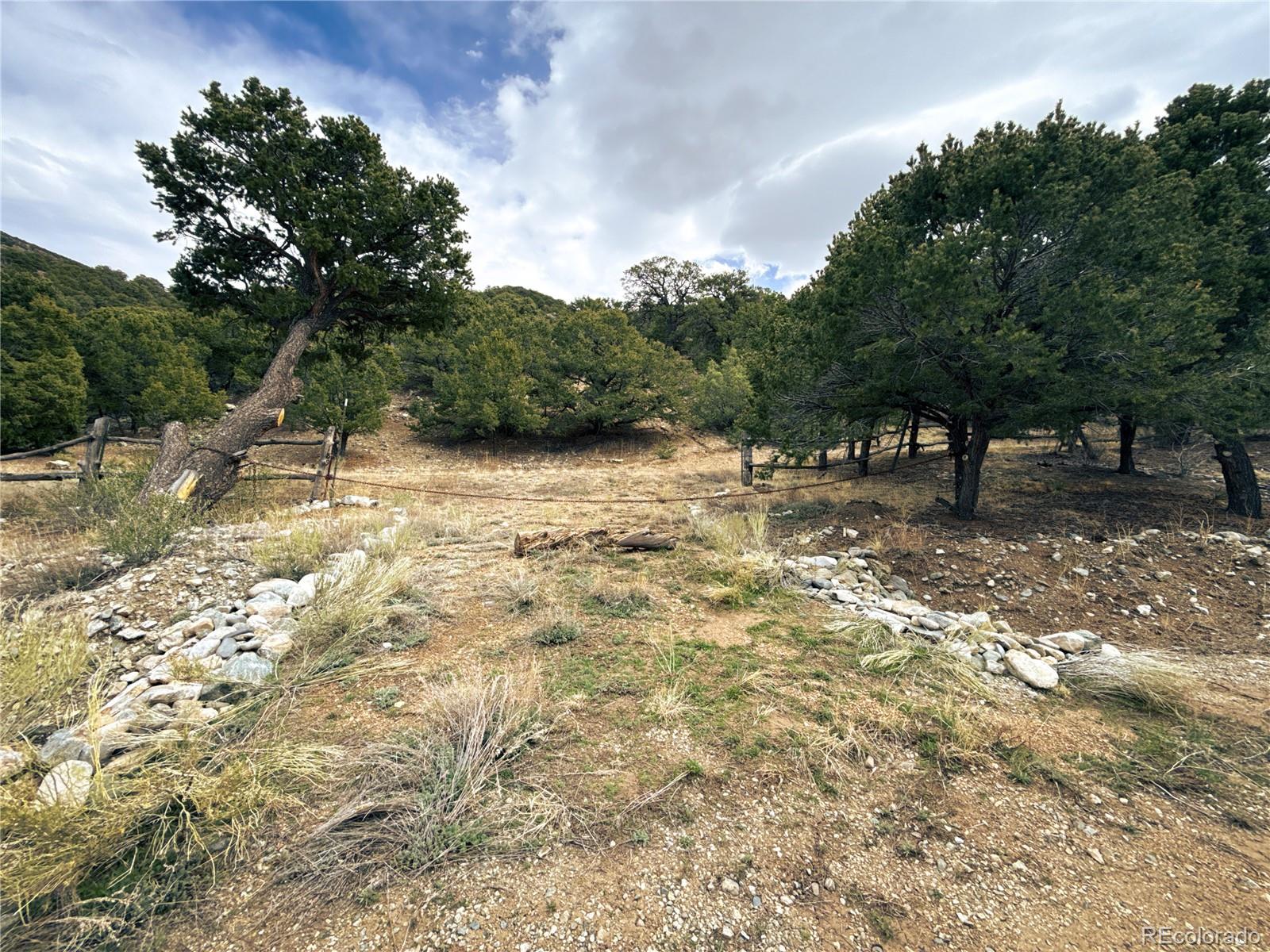189 Cedar Ridge Road Mosca, CO 81146 - Photo 40 of 47 a view of a yard with a tree
