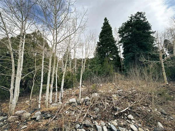 $90,000 | 189 Cedar Ridge Road, Mosca, CO 81146