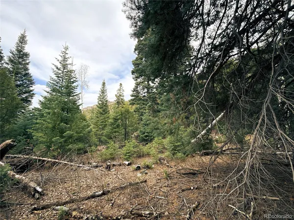 $90,000 | 189 Cedar Ridge Road, Mosca, CO 81146