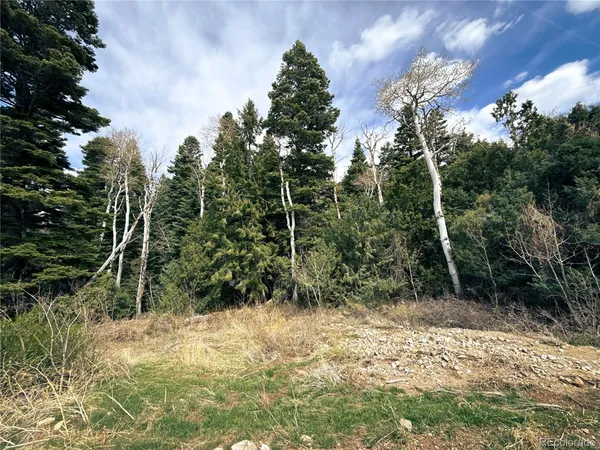 $90,000 | 189 Cedar Ridge Road, Mosca, CO 81146