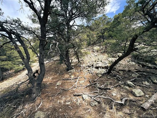 $90,000 | 189 Cedar Ridge Road, Mosca, CO 81146