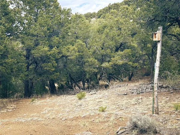 $90,000 | 189 Cedar Ridge Road, Mosca, CO 81146