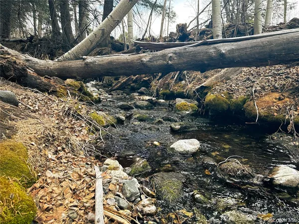 $90,000 | 189 Cedar Ridge Road, Mosca, CO 81146