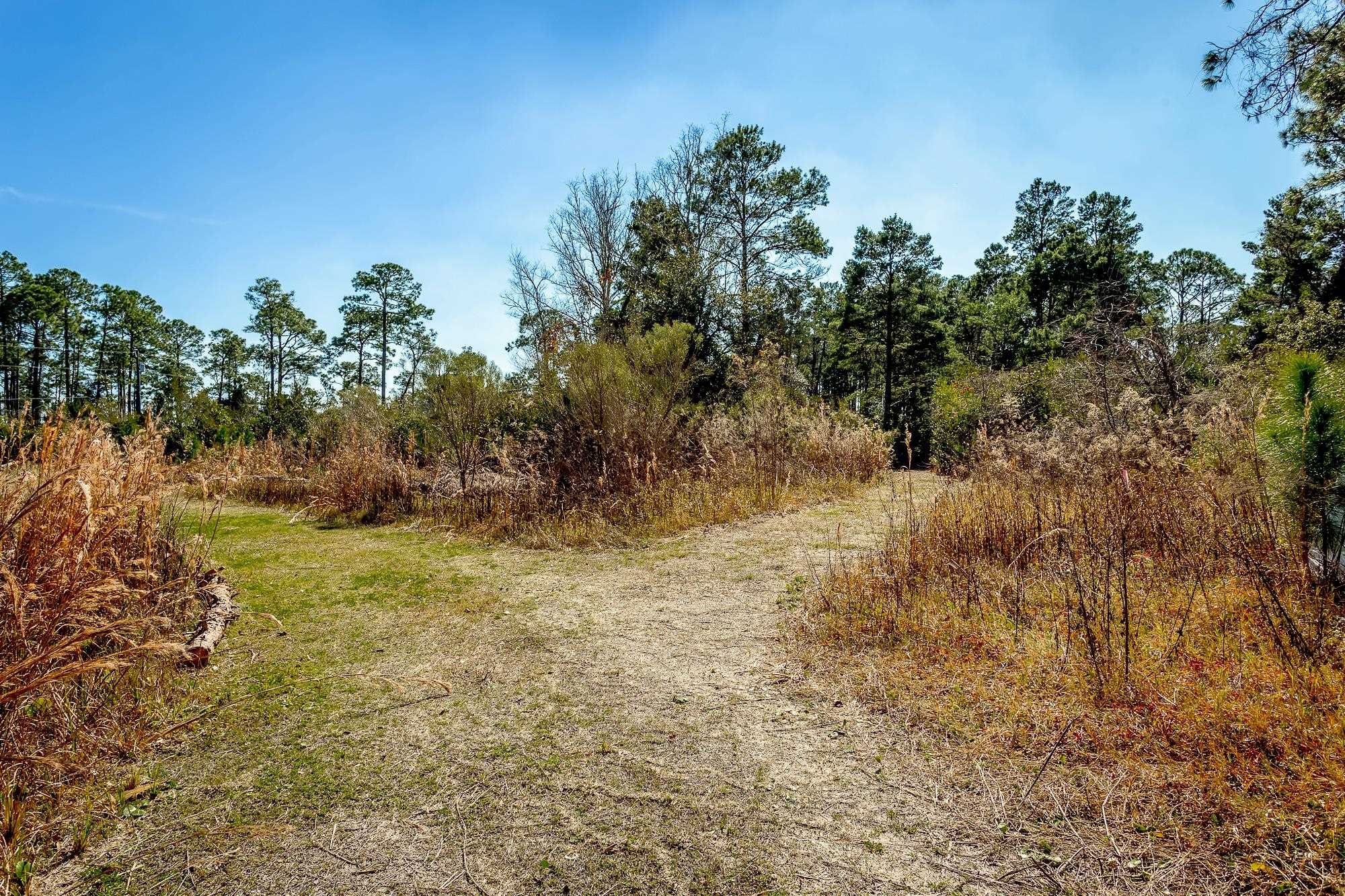 138 Woodill Road Carrabelle, FL 32322 - Photo 11 of 12