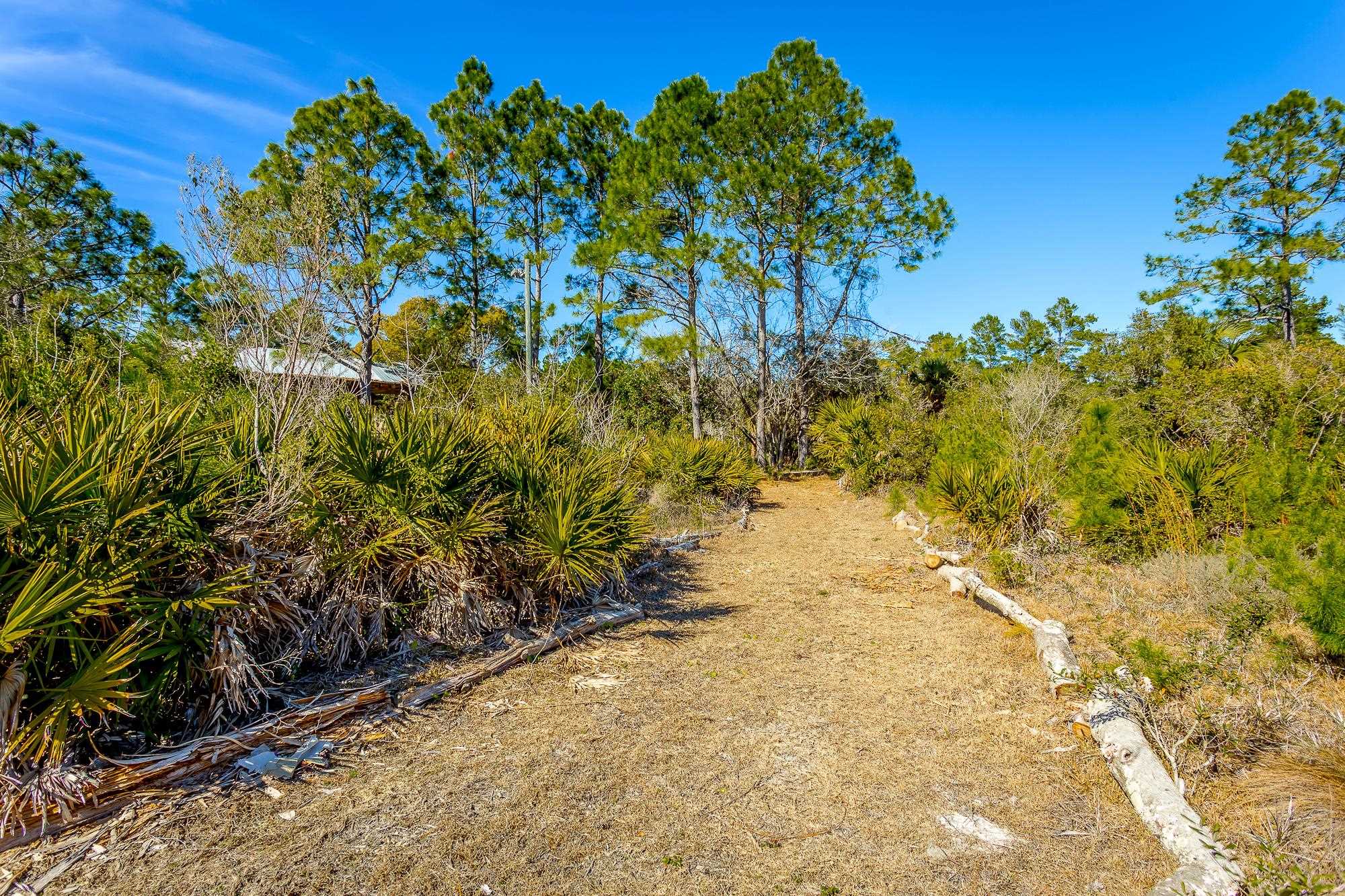 138 Woodill Road Carrabelle, FL 32322 - Photo 3 of 12