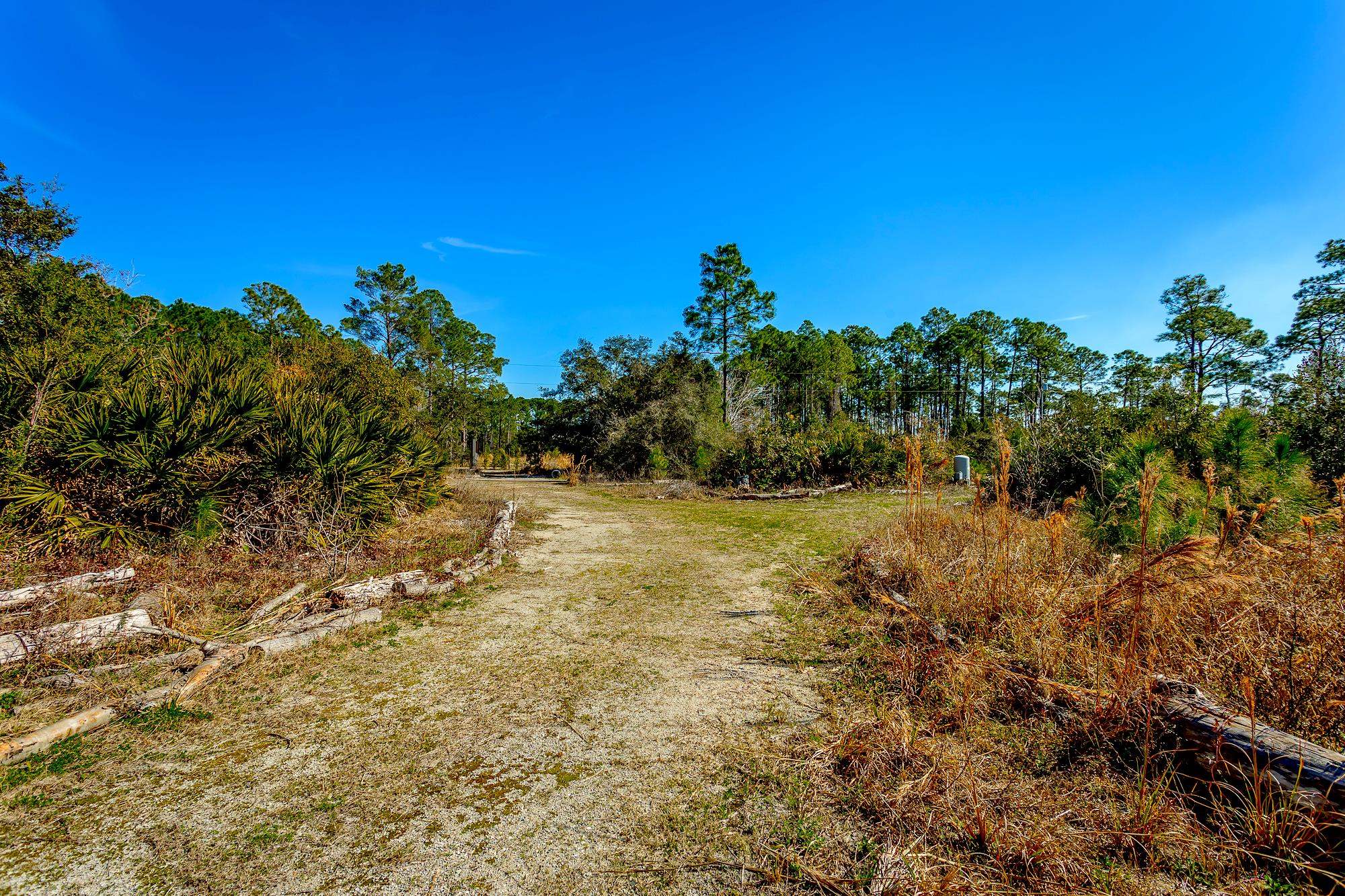 138 Woodill Road Carrabelle, FL 32322 - Photo 5 of 12
