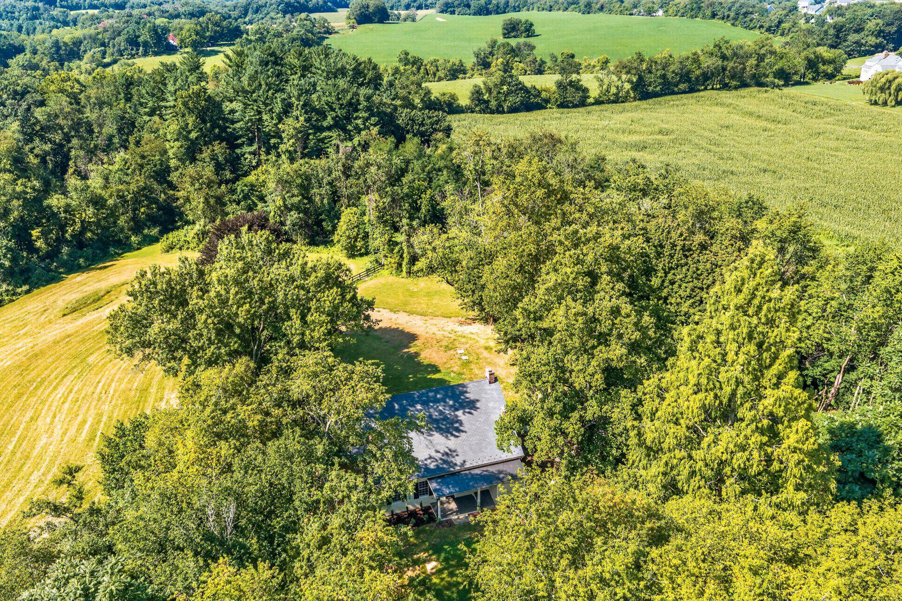 3110 Thurston Road Frederick, MD 21704 - Photo 60 of 66 Secluded retreat in Urbana.