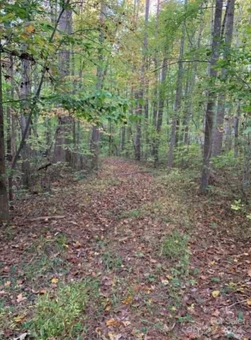 a big yard with lots of green space