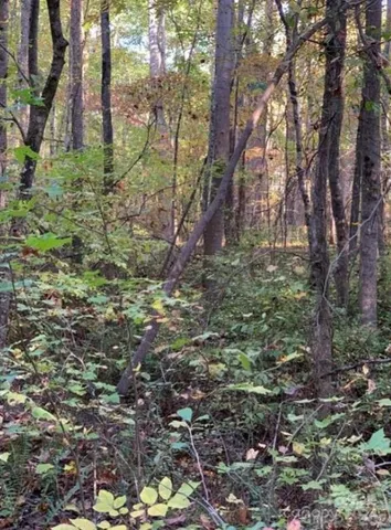 a view of outdoor space