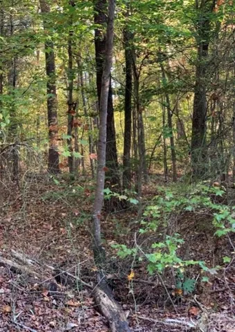 a view of outdoor space and green space