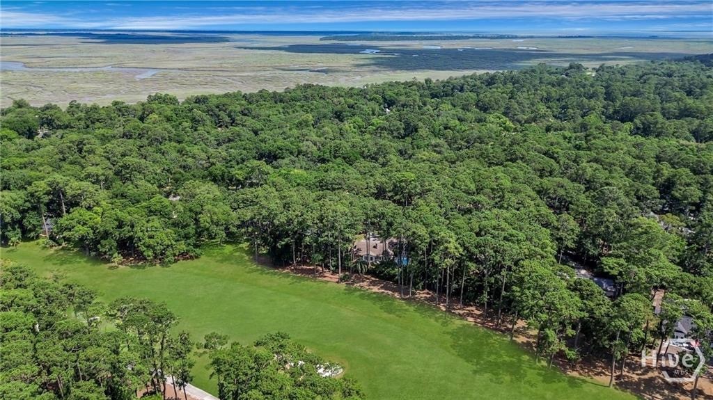 1 Tything Man Lane Savannah, GA 31411 - Photo 33 of 37