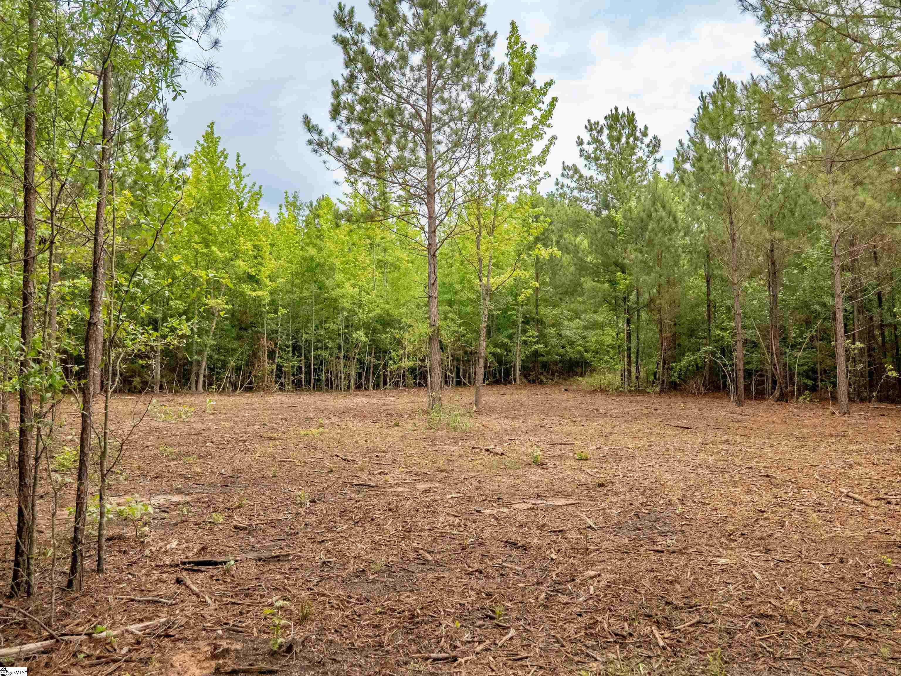 0 Terry Road, Unit LOT 2 Fountain Inn, SC 29644 - Photo 15 of 27 Gallery Image 15