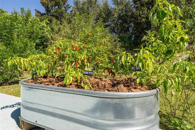a front view of a house with garage