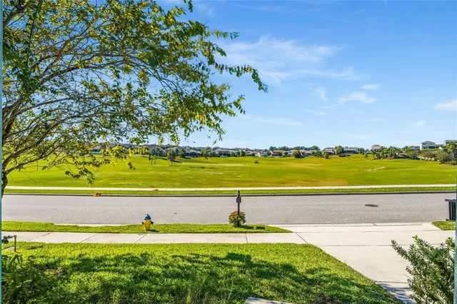 a close up of a plant in a garden