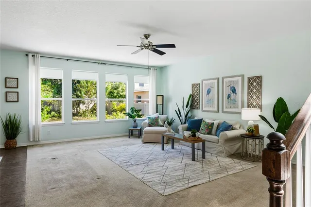 a living room with furniture potted plant and a large window