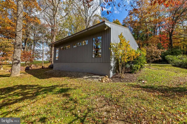 a view of yard with large trees