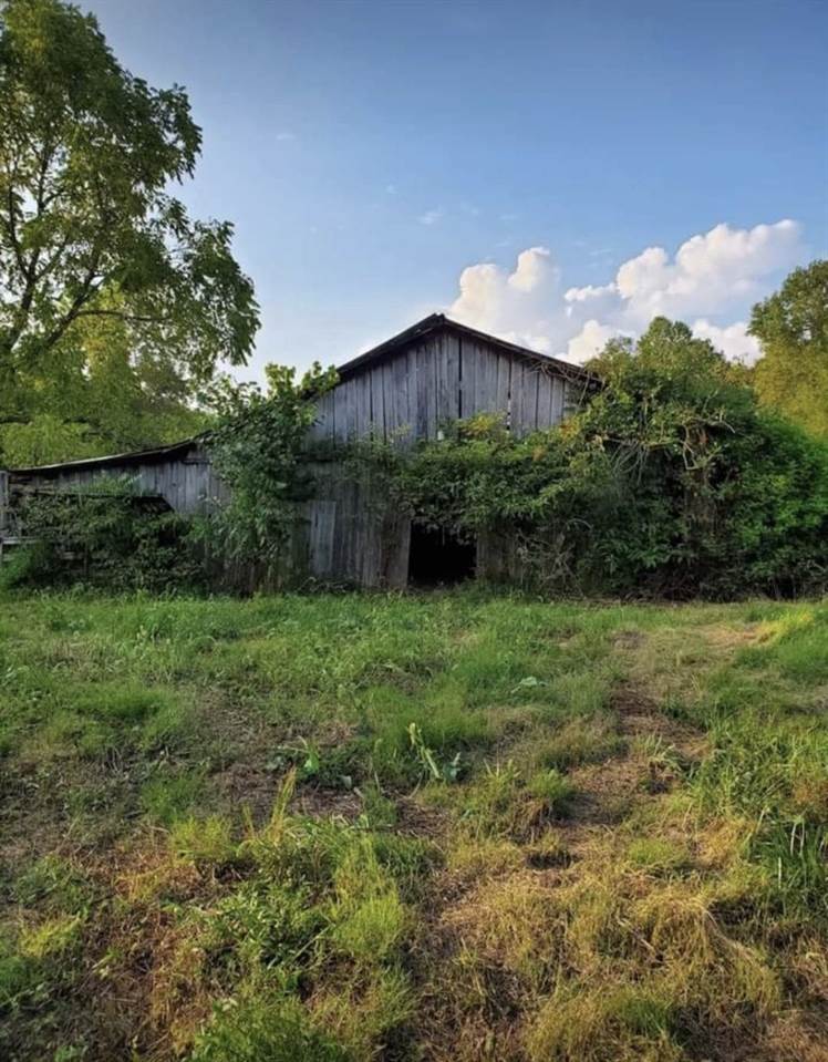 599 Windy Ridge Road Caneyville, KY 42721 - Photo 1 of 1 Gallery Image 1