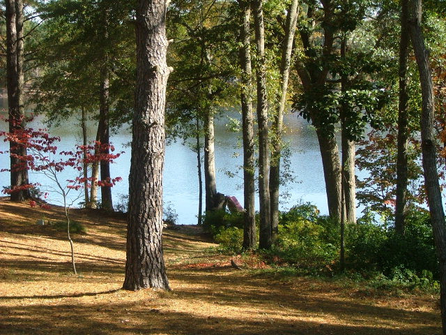 Lot 14 Flowing Well Road Wagener, SC 29164 - Photo 1 of 1