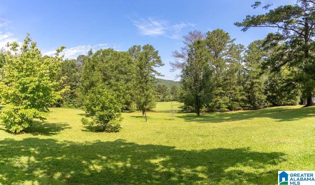 180 Allen Street Piedmont, AL 36272 - Photo 37 of 41