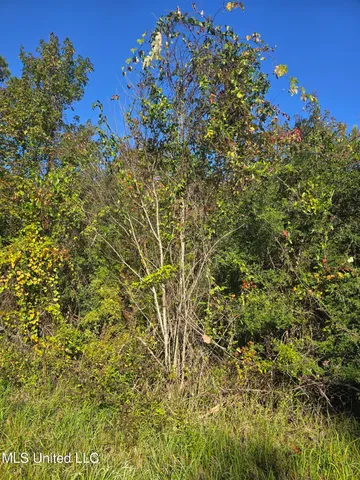 $600,000 | Jim Ramsey Cutoff Road, Vancleave, MS 39565